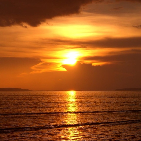 Meet your Posher, Nicole - Picture 1 of 1